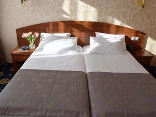 Гостиница  София Тула Стандартный двухместный номер с 1 кроватью или 2 отдельными кроватями-10