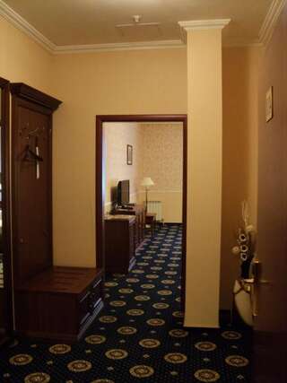 Гостиница  София Тула Стандартный двухместный номер с 1 кроватью или 2 отдельными кроватями-12